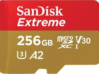 MicroSD 256 Go SanDisk Face